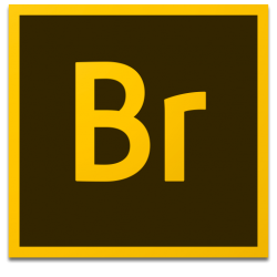 Adobe Bridge CC 2019 for Mac v9.0.3 媒体管理器 Br中文破解版下载